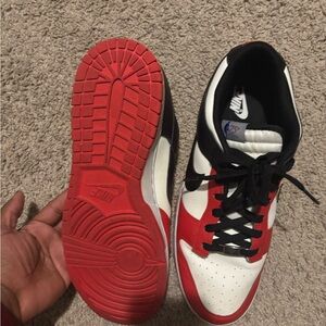 Nike dunk low NBA 75th Anniversary Chicago